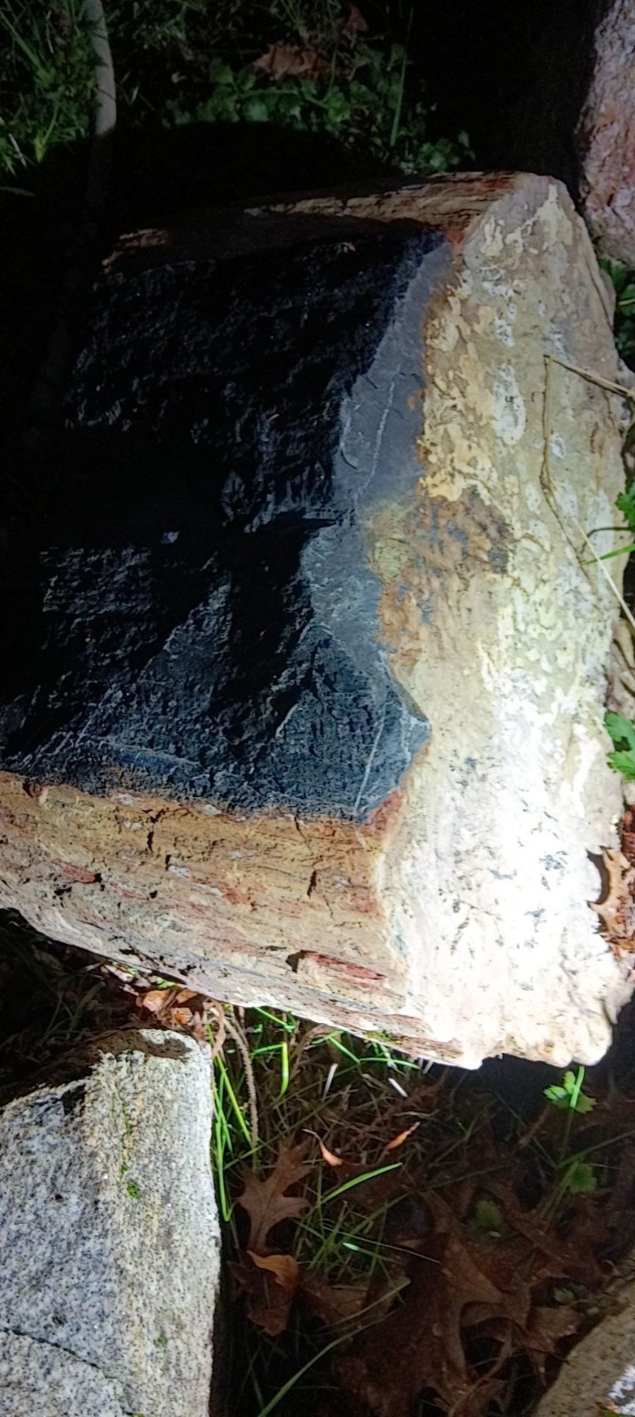 petrified wood its a boulder id say 2 ft by 2 1/2 ft not sure the weight petrified wood its a boulder id say 2 ft by 2 1/2 ft not sure the weight