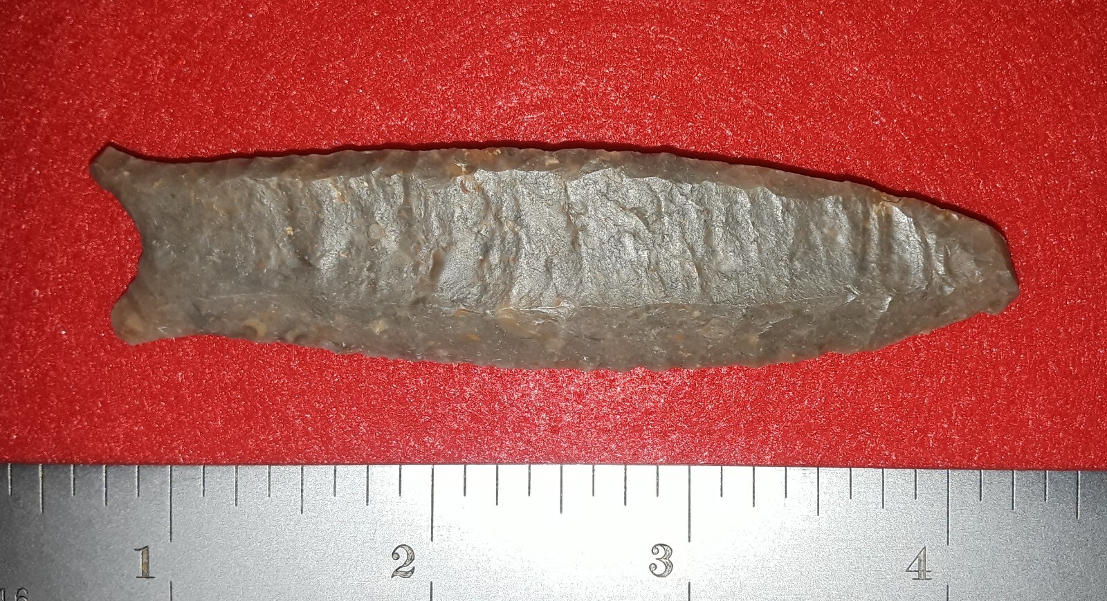 E199:  3-½ in. Boyle chert Cumberland from Clinton County, Kentucky with 3 COAs