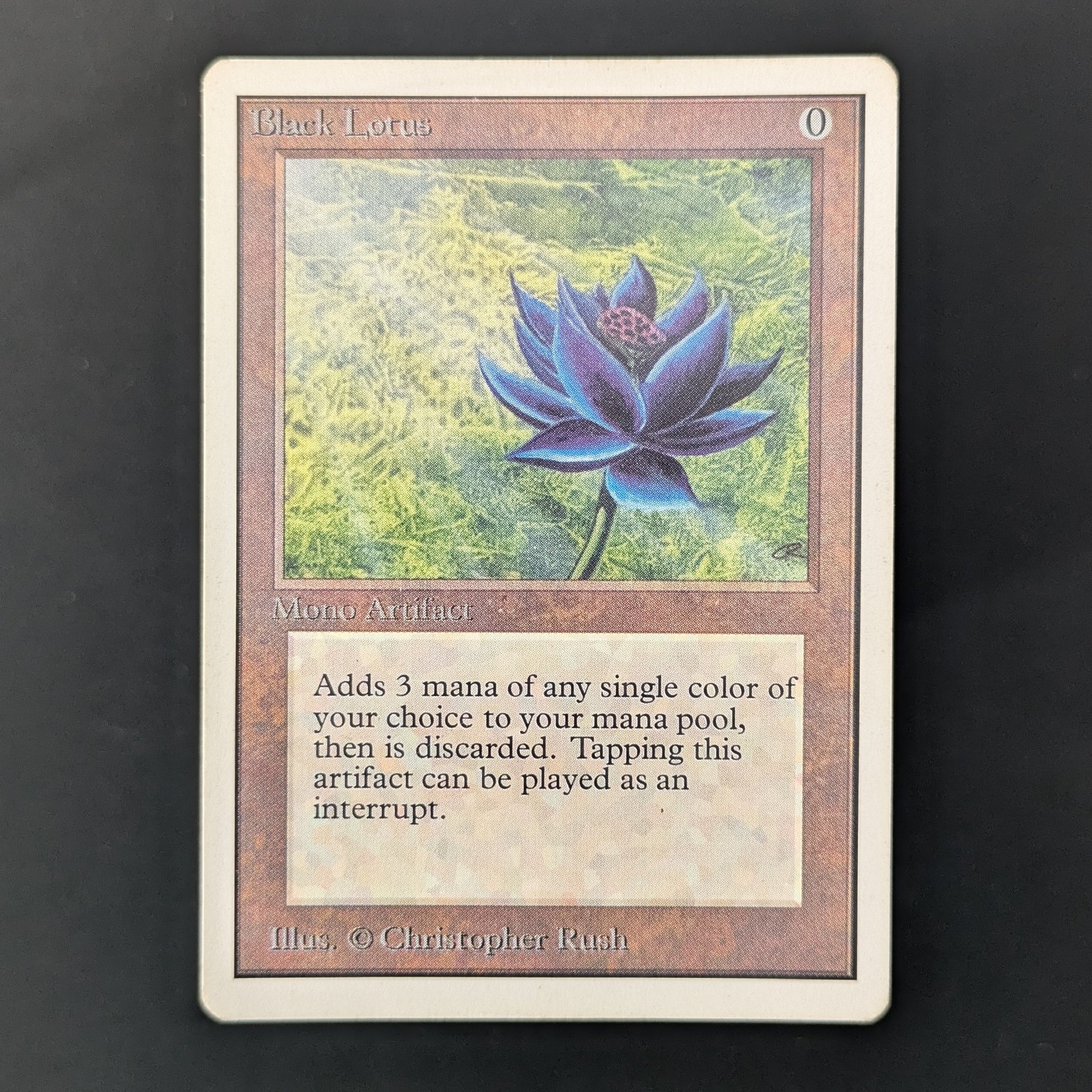 MTG \\>> Black Lotus (PL) <<// Unlimited - 341 Trading - Magic MTG \\>> Black Lotus (PL) <<// Unlimited - 341 Trading - Magic