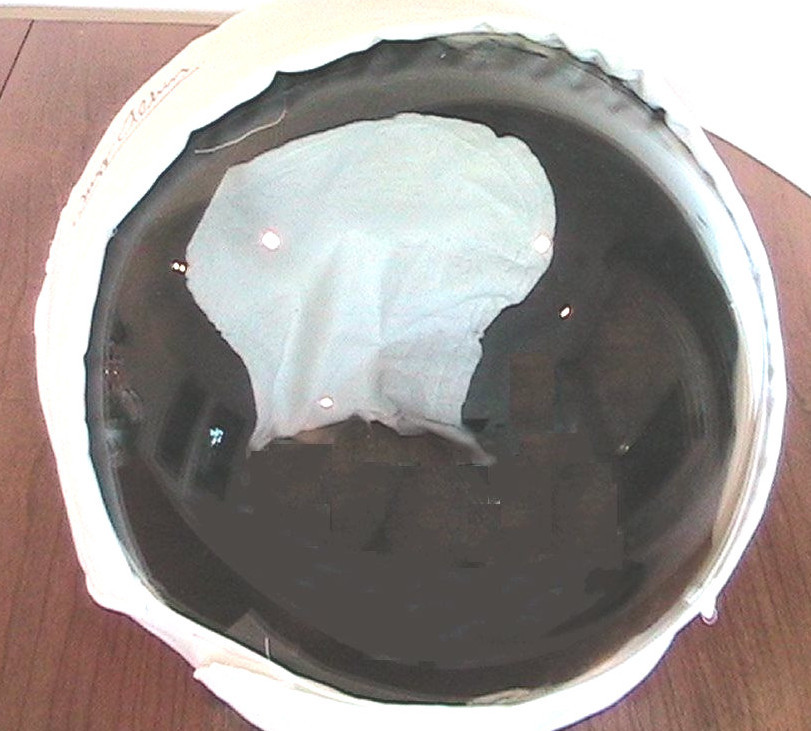 BUZZ ALDRIN AUTOGRAPHED REPLICA MOON HELMET BUZZ ALDRIN AUTOGRAPHED REPLICA MOON HELMET