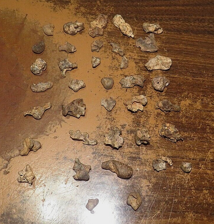 129 GM. WHOLESALE LOT OF 37 IMILAC PALLASITE METEORITES -RARE meteorite ; CHILE; 129 GM. WHOLESALE LOT OF 37 IMILAC PALLASITE METEORITES -RARE meteorite ; CHILE;