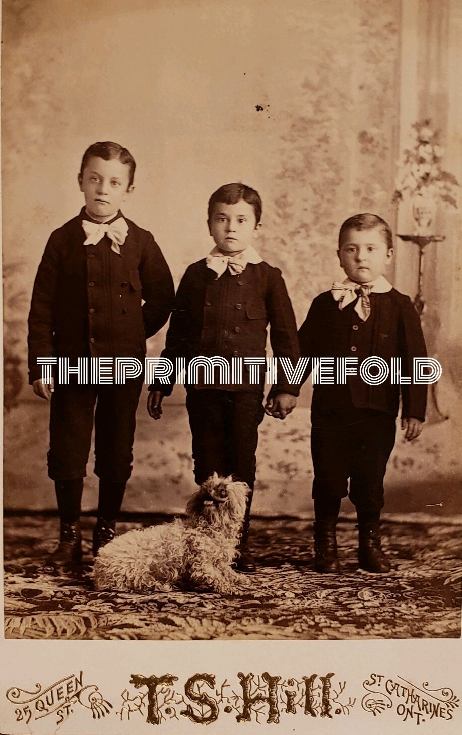 ANTIQUE PEKINGESE THREE BOYS TS HILL ST CATHARINES ON CANADA CABINET CARD PHOTO ANTIQUE PEKINGESE THREE BOYS TS HILL ST CATHARINES ON CANADA CABINET CARD PHOTO