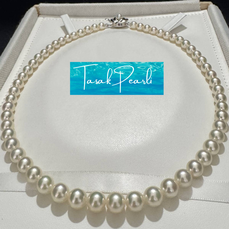 Vintage TASAKI Akoya Pearl Necklace 6-8.3mm 43cm Silver Graduated Japan Vintage TASAKI Akoya Pearl Necklace 6-8.3mm 43cm Silver Graduated Japan