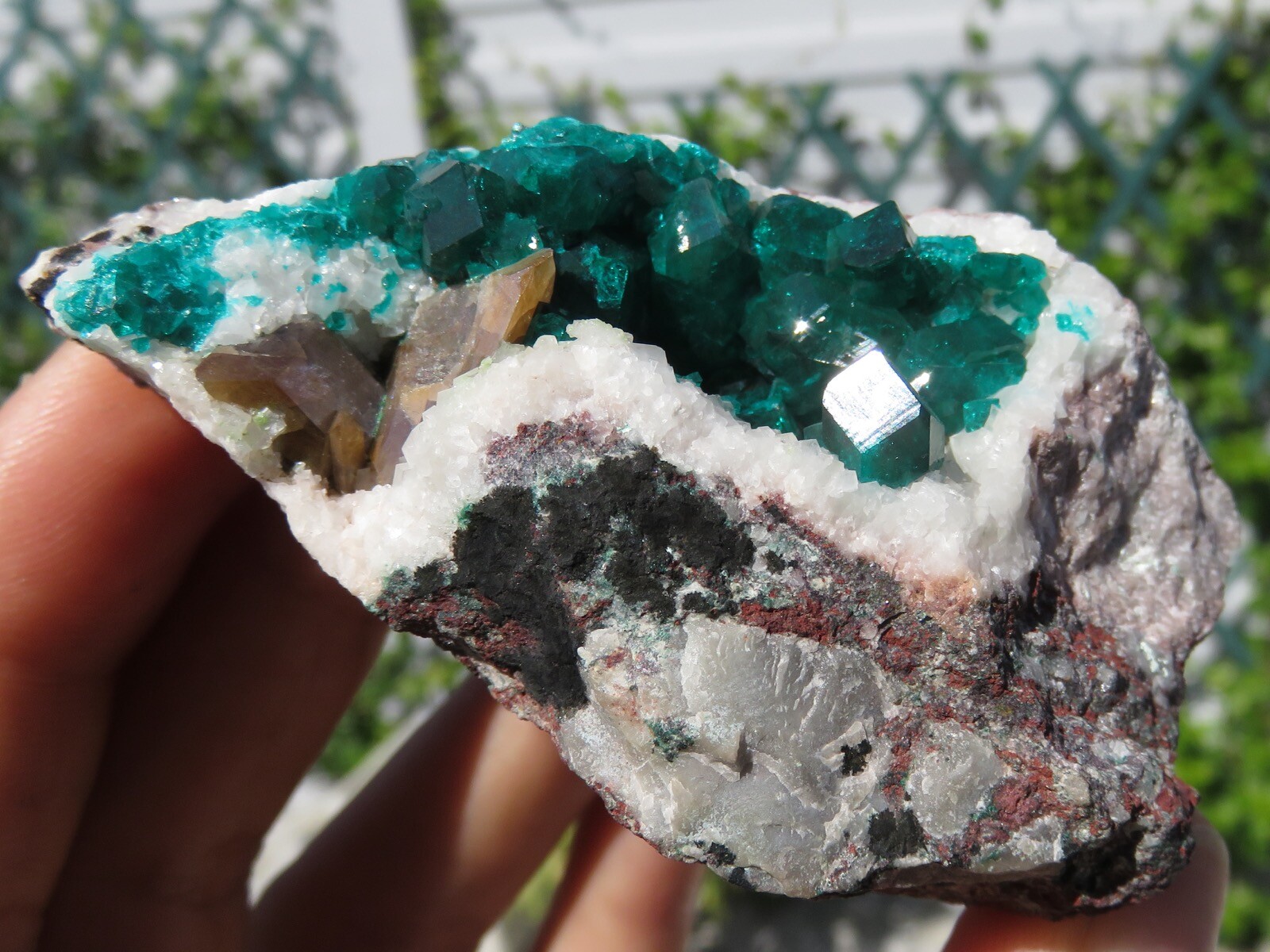 Green Dioptase With Wulfenite Namibia