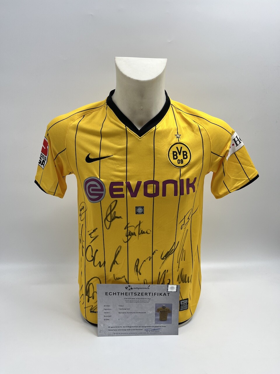 BVB Jersey 2008/2009 Team Signed Borussia Dortmund Autograph COA Nike 152-158 BVB Jersey 2008/2009 Team Signed Borussia Dortmund Autograph COA Nike 152-158