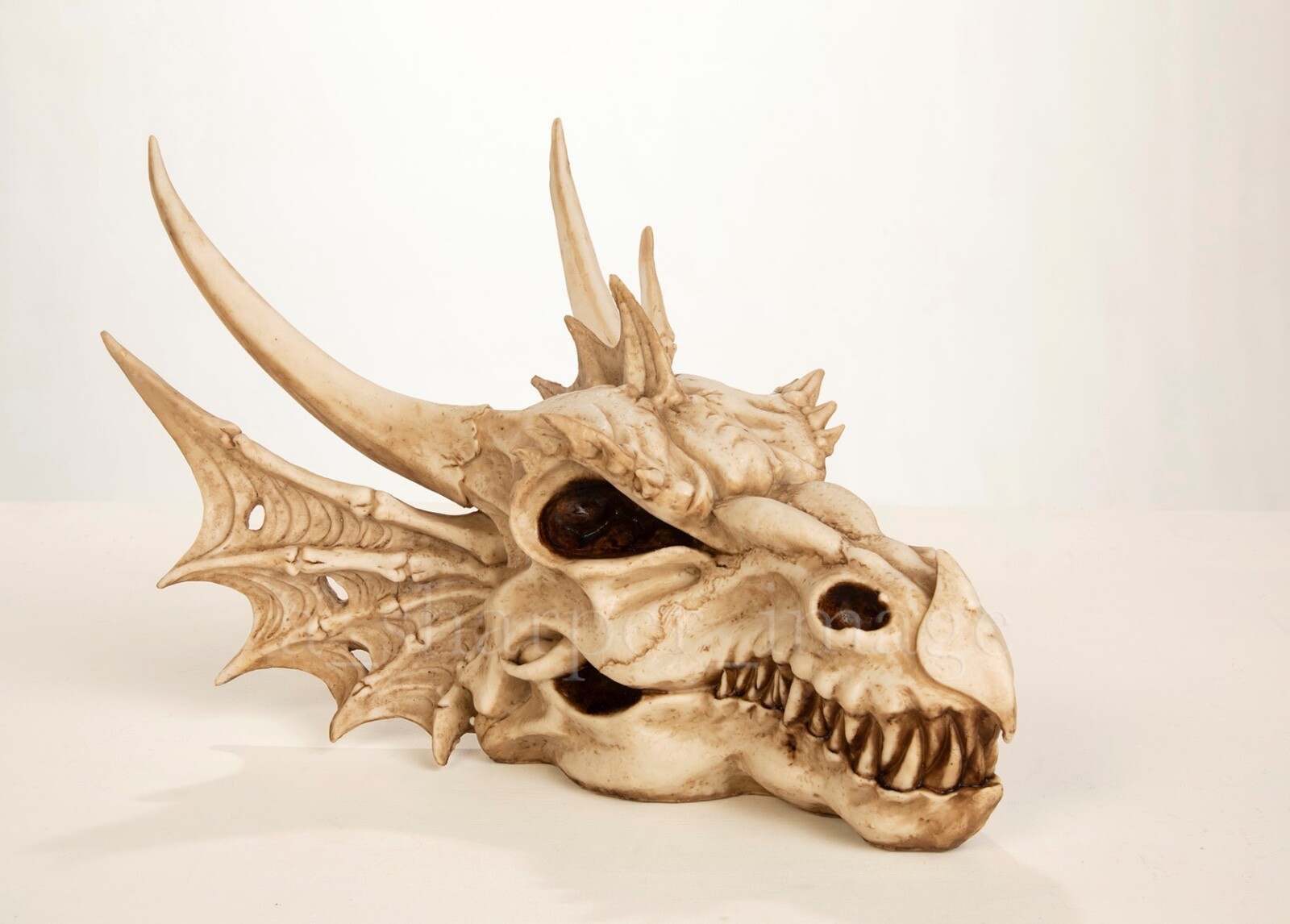 Dragon Skull LARGE 20 Dragon Skull LARGE 20