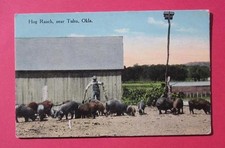 OKLAHOMA HOG RANCH NEAR TULSA VINTAGE POSTCARD 1914 picture