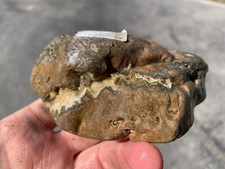 Huge 1lb 10oz Fairburn Agate from Nebraska. Collected In 1965 picture