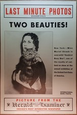 VINTAGE 1934 CHICAGO HERALD EXAMINER NEWSPAPER PHOTO POSTER CAT MAINE COON? NRA  picture