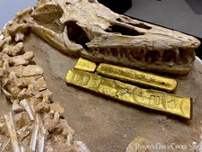 MOSASAURUS DINOSAUR FOSSIL HALISAURUS ARAMBOURGI MOSASAUR JURASSIC picture