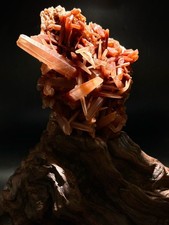 155*98*80mm TOP Natural red Hare fur cluster quartz crystal Ornament+stand picture
