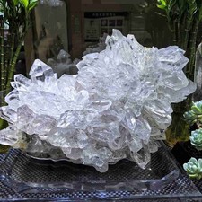 114LB TOP Natural Rare Clear Quartz Crystal Himalayan Cluster Mineral Collect A+ picture