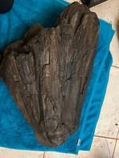 PETRIFIED wood one  big  Piece brown dark  24 inch x 14 inch  picture