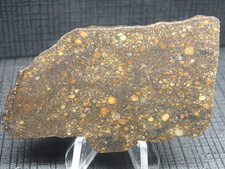 NWA 16806 Meteorite L3
