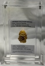 2026 POKEMON 30th ANNIVERSARY GRAIL - 3D Caramel Squirtle Specimen - 1/1 Unique picture