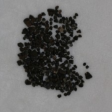 Myledaphus Sting Ray / Guitar Fish Tooth Lot Fossil Hell Creek Formation (268) picture