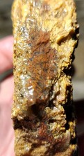 Old Stock Powell Butte Plume Agate Lapidary Cutting Rough Vein Chunk (362 grams) picture