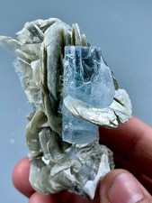 129 GM Natural DT Transparent Aquamarine Crystal Combine Muscovite Mica Specimen picture
