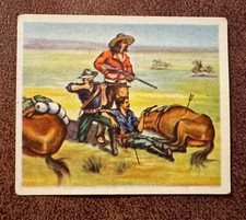 1934 Yosma Wild West Cigarette Cards Lot of 77 with Buffalo Bill Cody picture
