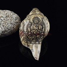 Beautiful Authentic Tibetan Buddhist Chenrezig Hand CraveCarved Conch Shell Horn picture