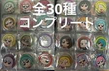 Bandori BanG Dream Character Badge 30pc Complete Set Ohkawa Bukubu Series picture