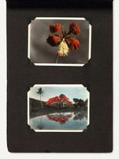 1910s-40s Photo Album with 174 Hand-Colored Silver Print Photos of Hawaii picture