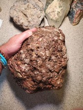 Rare UNCUT Baker Ranch Thunderegg Banded Agate Crystal Geode Lapidary 25lb N Mex picture
