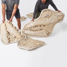 Giant 145 cm (57
