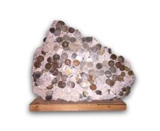 Frontier Hotel Concrete Foundation Casino Tokens Slab Las Vegas Slot Poker Chips picture