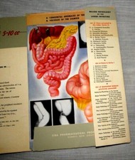 20 COLORED SUPERB PLATES MAJOR PATHOLOGY OF THE SMALL LARGE INTESTINE CIBA 1945 picture