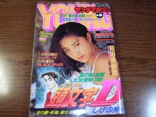ヤングマガジン WEEKLY YOUNG MAGAZINE 30 JULY 1995 USA SELLER picture