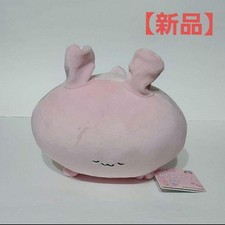 Asamimi-chan Arm Cushion Plush doll 25cm Anemimi Taito 2024 NEW Japan picture