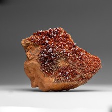 Vanadinite Crystal Cluster on Matrix from Morocco (7.5 lbs) picture