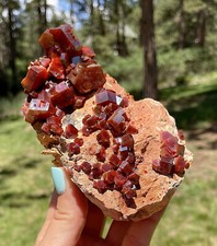 Vanadinite Large Bright Red Crystals On Matrix From Morocco   11.5 Cms picture