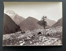 Original photo 1890 Caucasus Mountain Vittorio Sella, old photo Caucasus Mountains picture