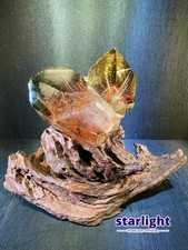 7.1LB Natural green ghost and copper strip hair symbiotic crystal clusters picture