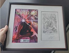 Alex Ross Spider-Man #1 75th Anniversary Pencils Cover Framed with Cover Print  picture