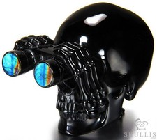 July 10, 2014 ACSAD (A Crystal Skull a Day) - Looking to the Future - Black picture