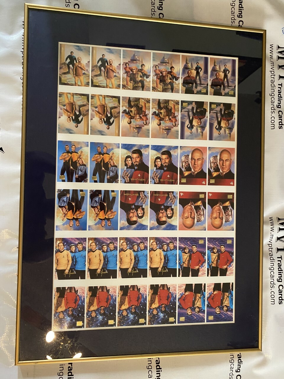 1994 SkyBox Star Trek 22x31 Master Series Custom Framed Uncut Chase Cards