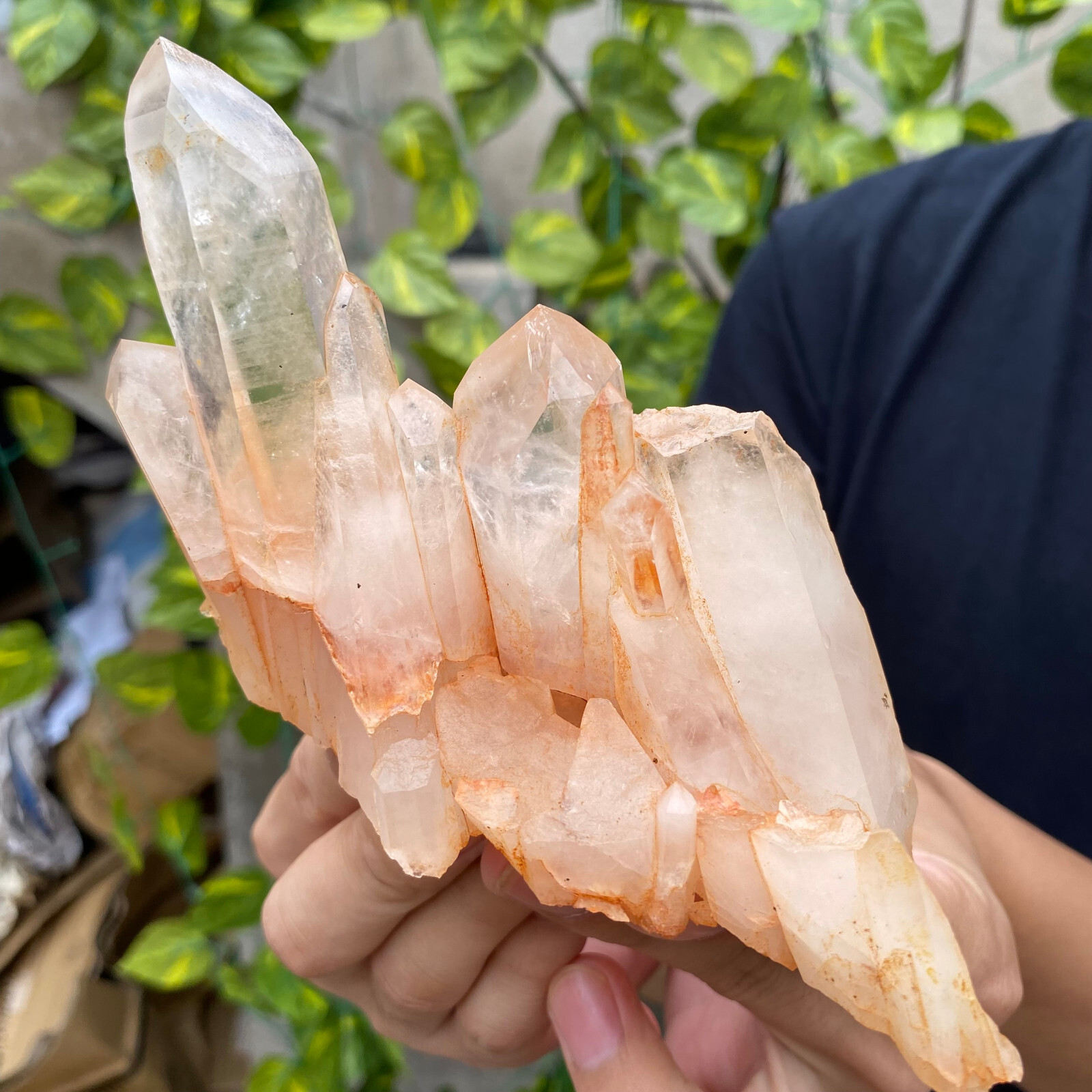 0.9lb Natural Clear White Quartz Crystal Cluster Rough Healing Specimen 0.9lb Natural Clear White Quartz Crystal Cluster Rough Healing Specimen