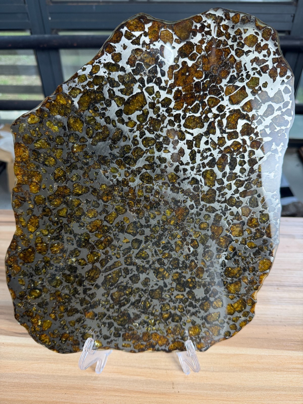 951.2g Imilac Pallasite Meteorite Rare Big Slice Size 315*252*4 With COA
