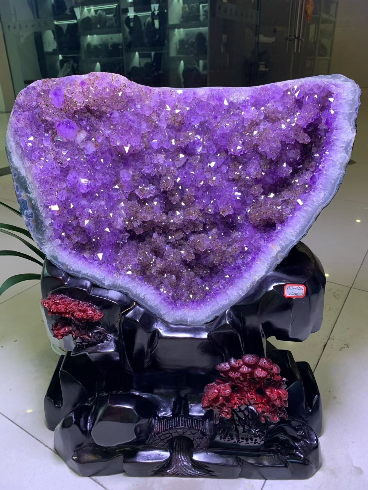 101LB Top Natural Uruguay Amethyst Geode cathedral Quartz Crystal Decor+stand 101LB Top Natural Uruguay Amethyst Geode cathedral Quartz Crystal Decor+stand