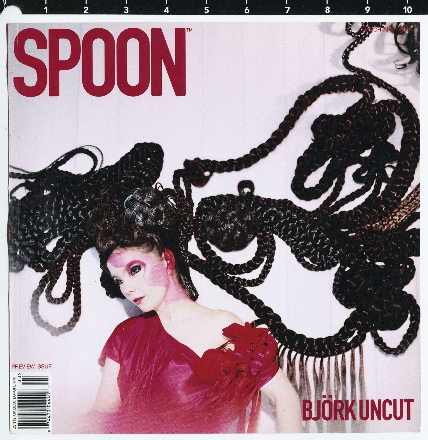 2005 Bjork Spoon Magazine Preview Photo by Erez Sabag on Acrylic/Aluminum SIGNED 2005 Bjork Spoon Magazine Preview Photo by Erez Sabag on Acrylic/Aluminum SIGNED