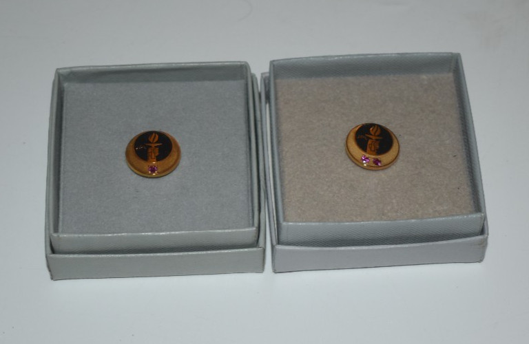 JPL NASA 5 & 10 Year Employee Appreciation Tack Rare Jet Propulsion Laboratory