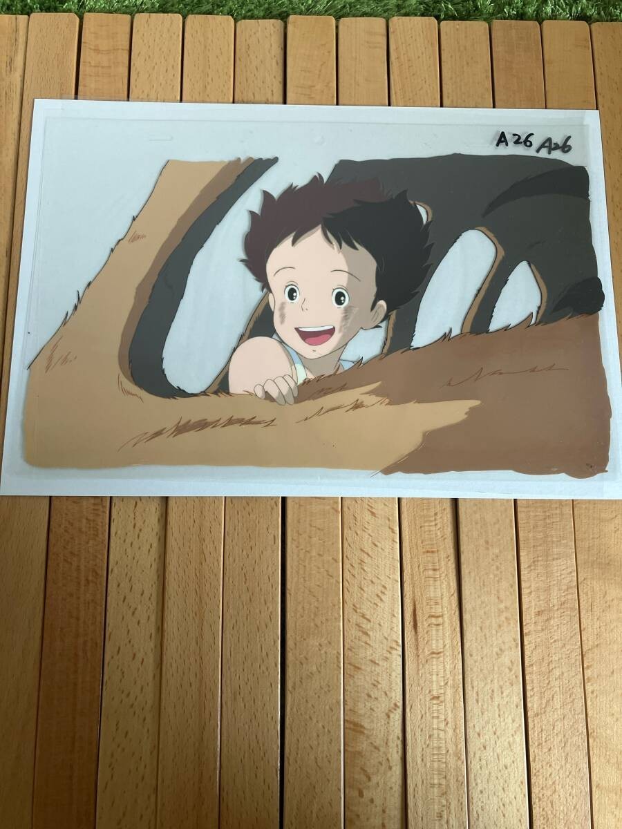 My Neighbor Totoro Satsuki Cat Bus Cel Drawing Mandarake Warranty Card e115