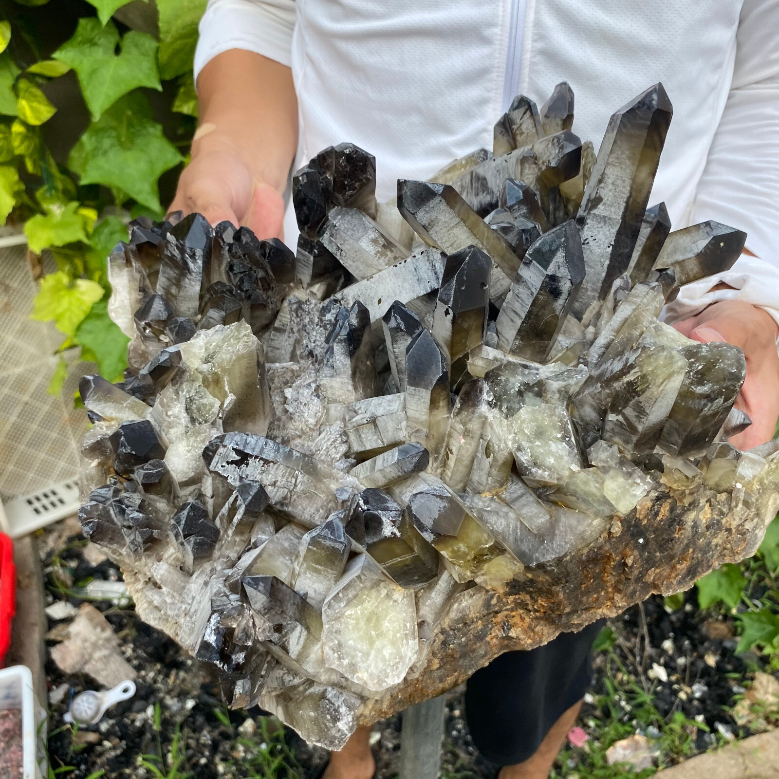 30.2lb Large Natural Black Smoky Quartz Crystal Cluster Raw Mineral Specimen