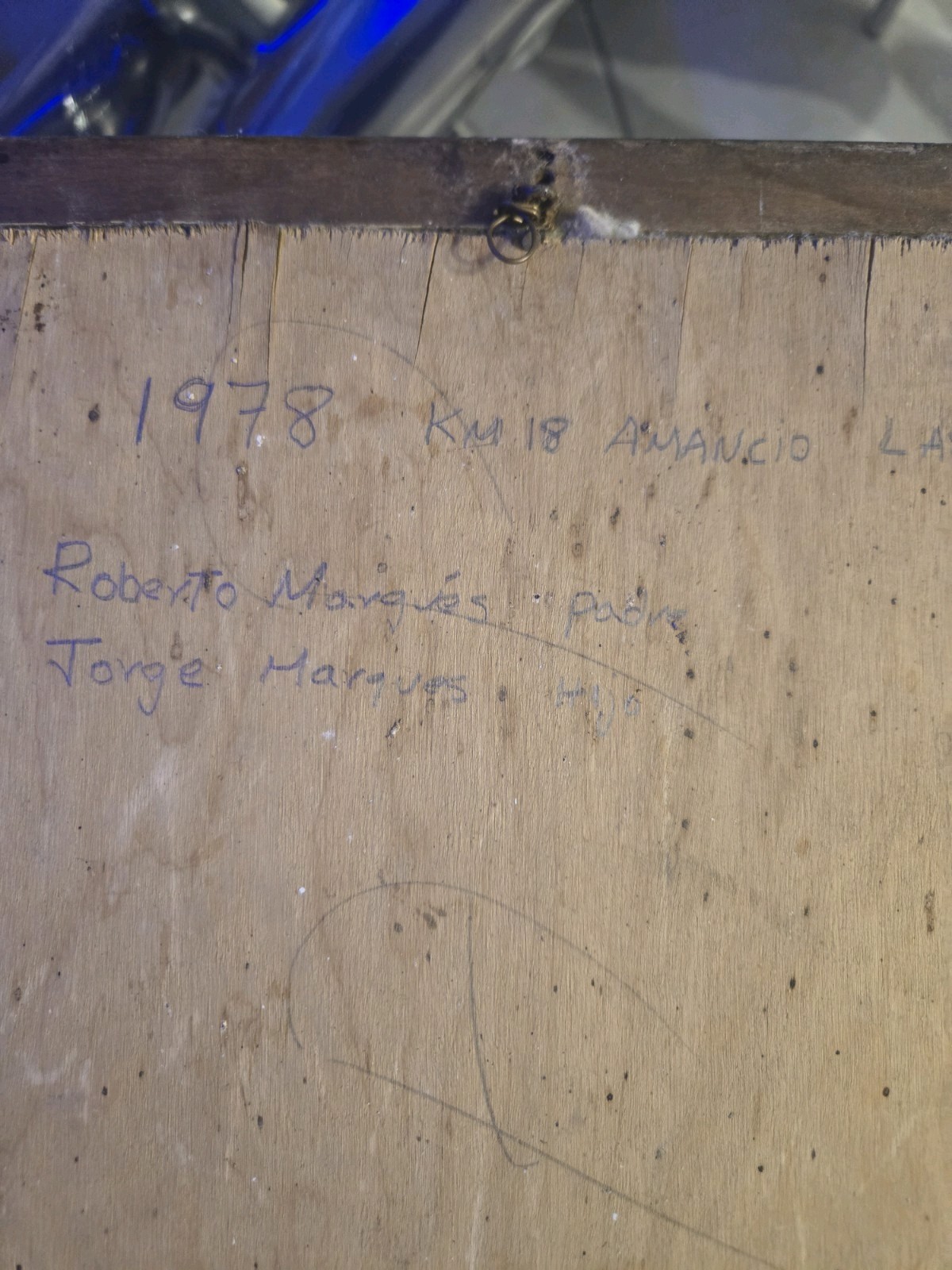  Vintage Butterfly Frame – Unique Piece from 1978