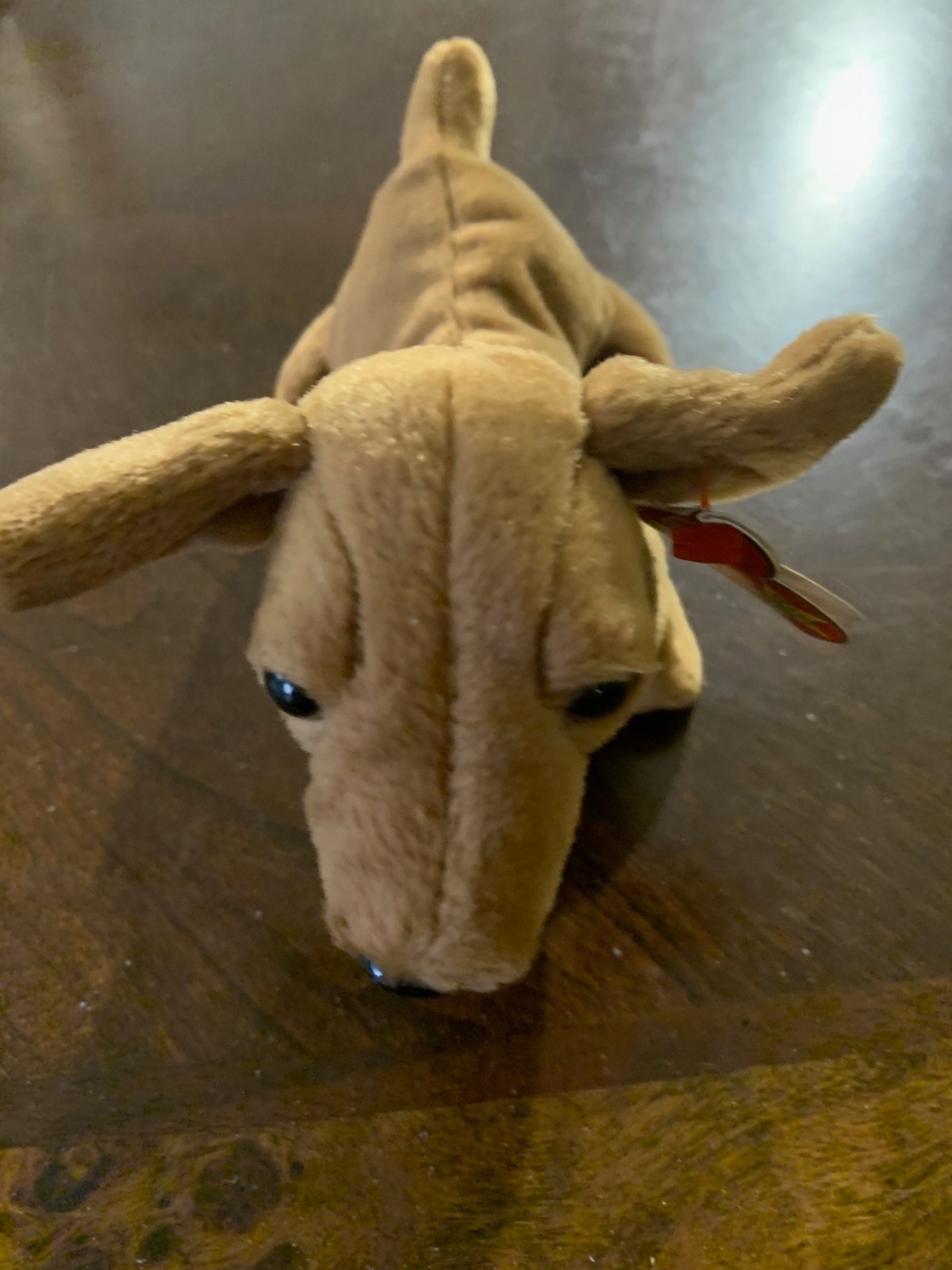 1995 Weenie the Beanie Baby Dog Retired Ty Limited Edition 12 Errors Mint Tags